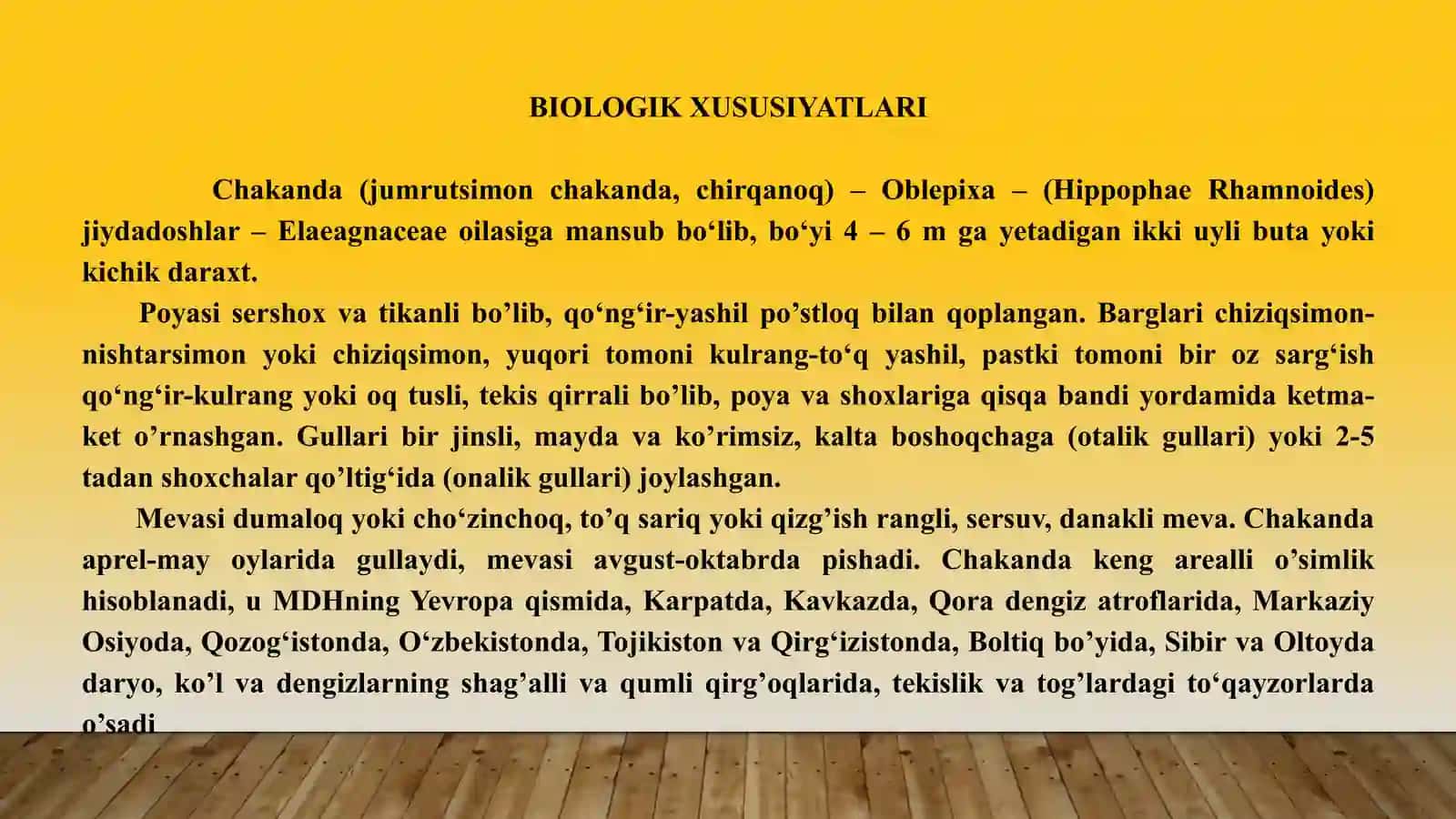 Oblepixa-Hippophae rhamnoides L o'simligi 4