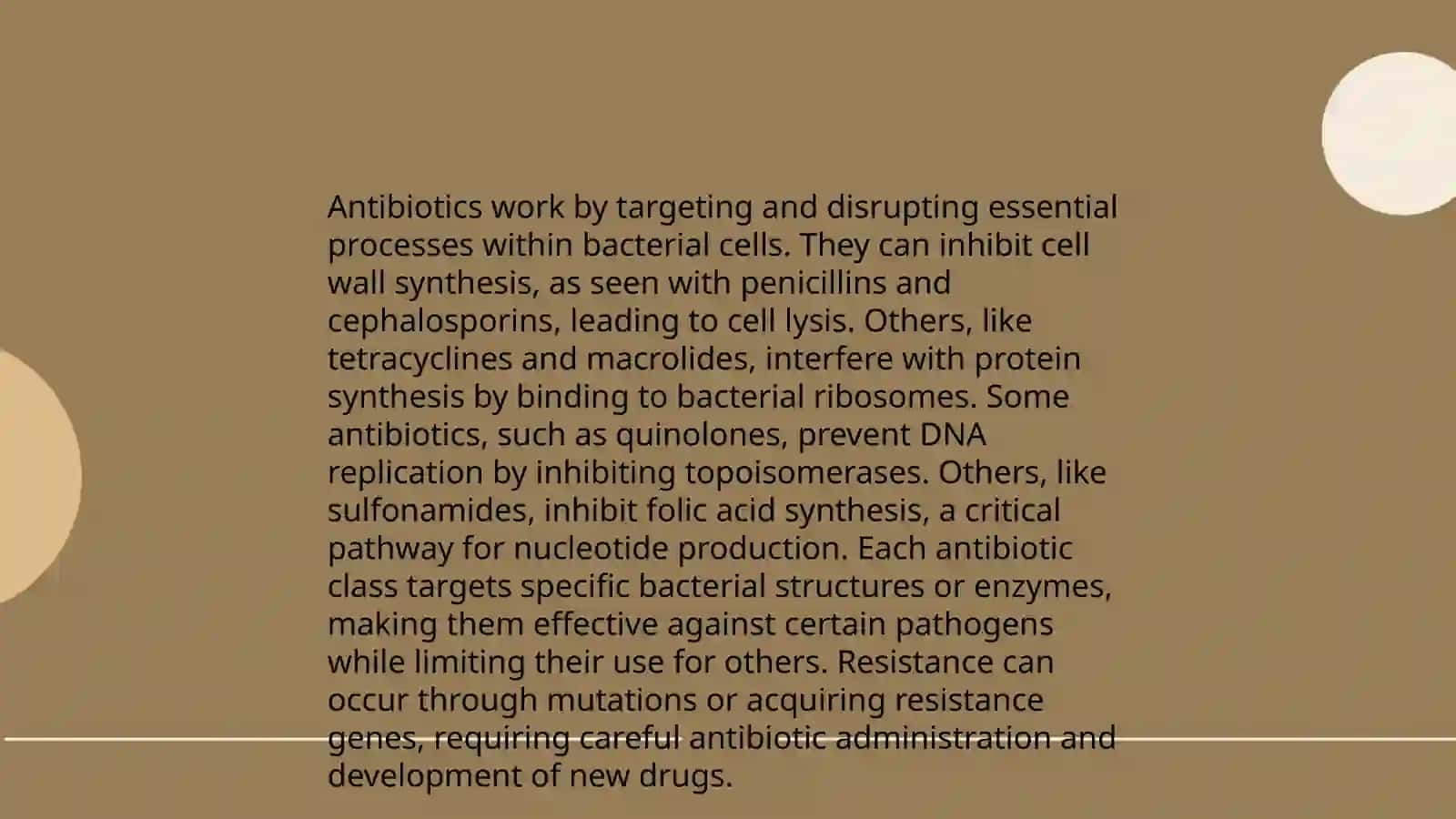 The Role of Antibiotics and the Rise of Superbugs 4