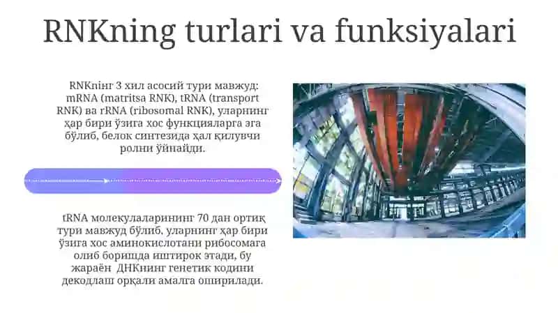 Nuklein kislotalarning tuzilishi 4