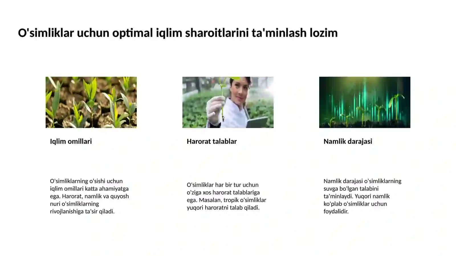 Kanada madaniy o'rmonlarini barpo etish uchun o'simliklar tanlash muhimdir 4