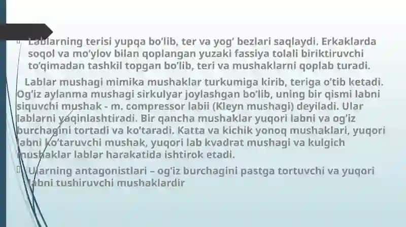 Og`iz sohasi anatomiyasi 4