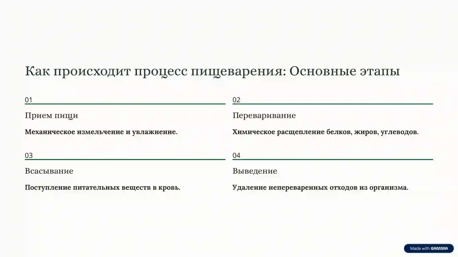 Пищеварительная система человека: Ваш путь к здоровью 4
