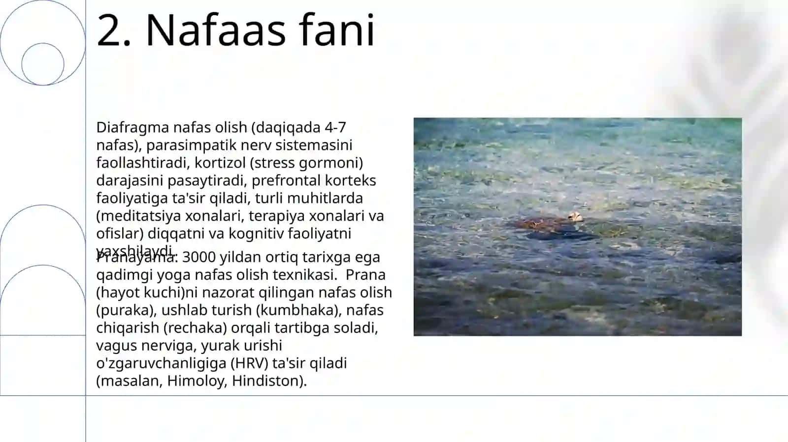 Nafasning boshqarilishi 4
