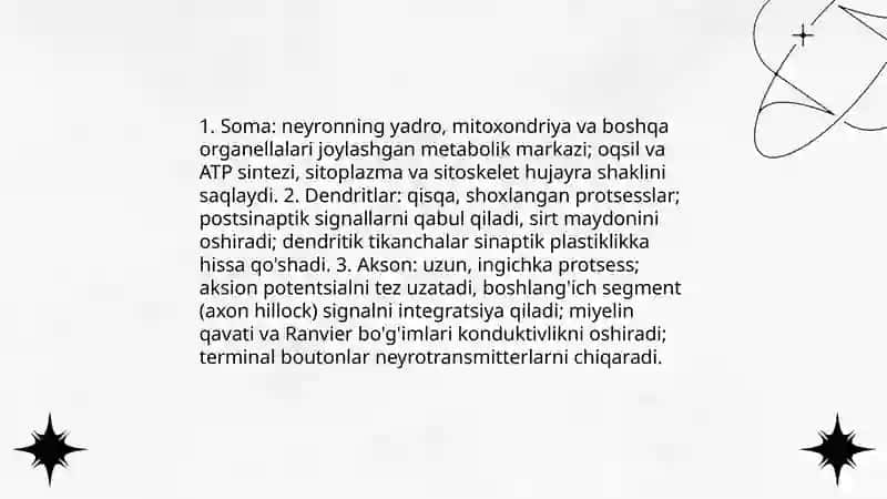 Nerv toqimasining tarkibi va hujayralari 4