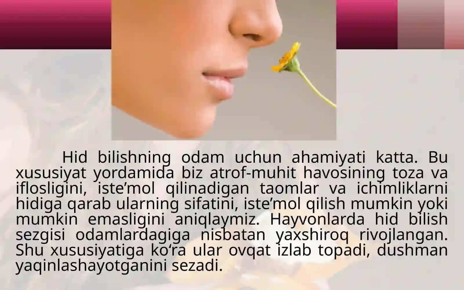 Hid va ta'm bilish organlari 4