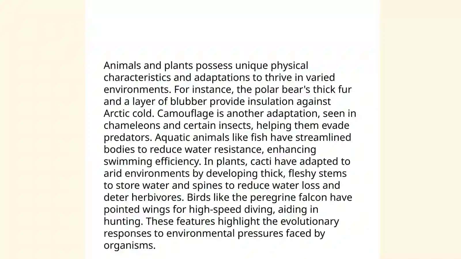 An animal you like the most 4