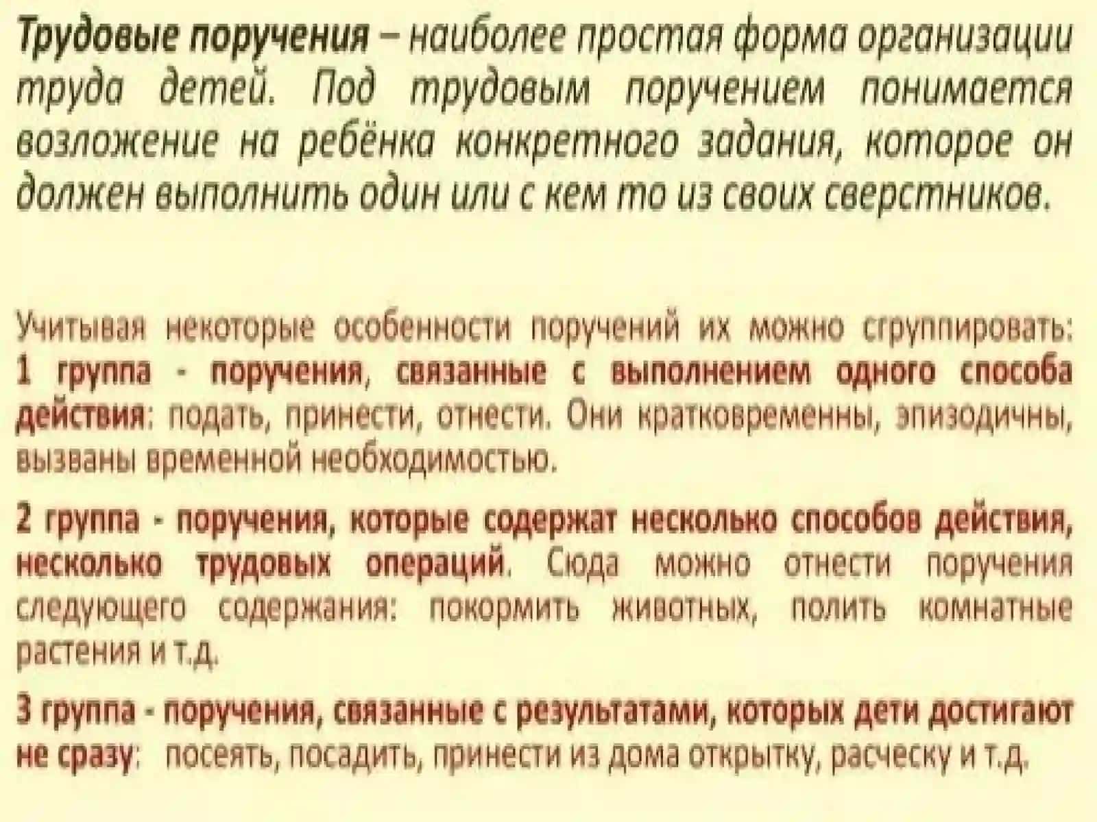 Формы организации труда детей: поручения 4