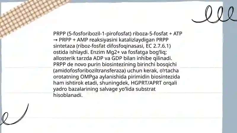 Purin va pirimidin asoslari almashinuvi 4