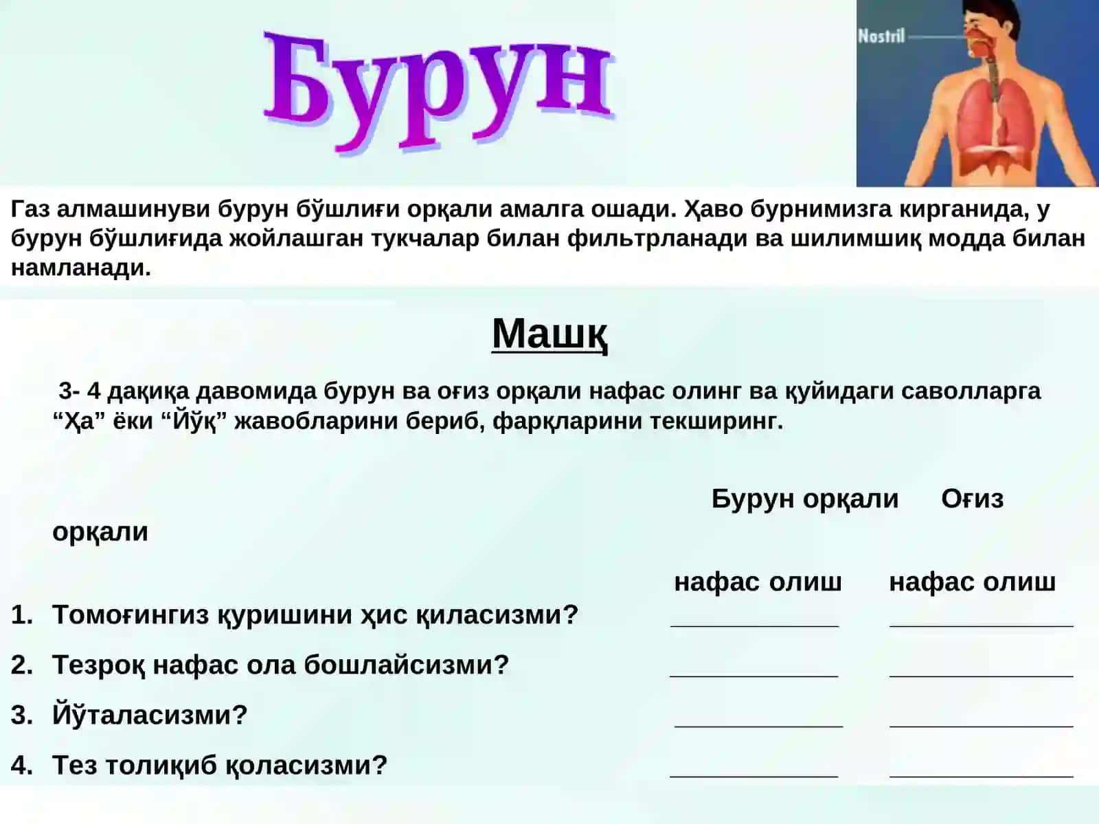 Одам нафас олиш тизими 4