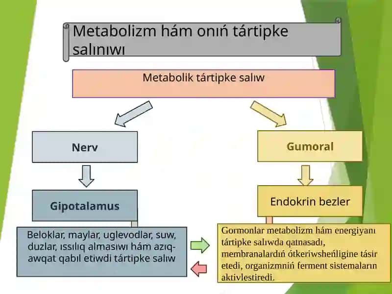 ZAT HÁM ENERGIYA ALMASIWI 4