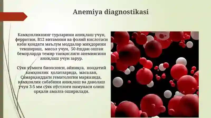 Anemiyalarning kelib chiqishi va turlari 4