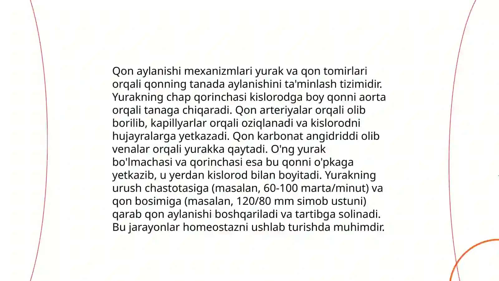 Yurak anatomiyasi 4