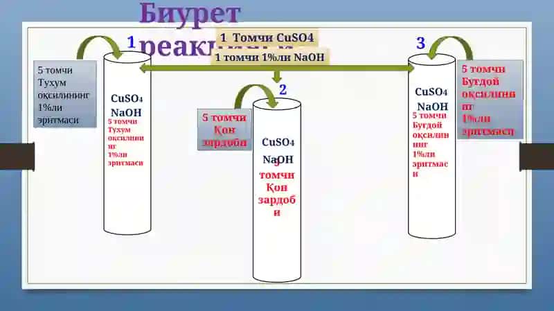 Тухум оқсилининг 1%ли эритмаси 4