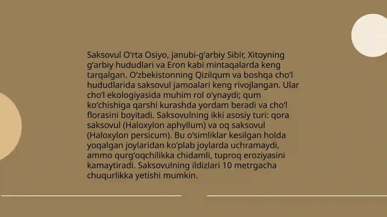 Markaziy Osiyo saksavulzorlari 4