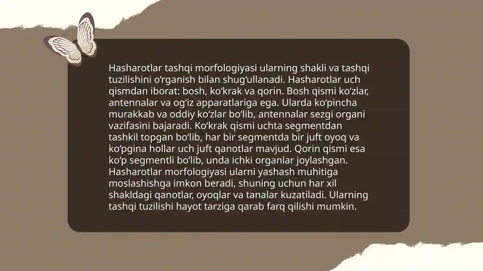 Hasharotlar morfologiyasi 4