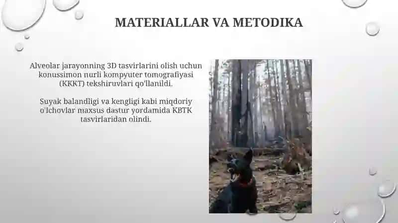 Diskriminatsion sezgirlik 4