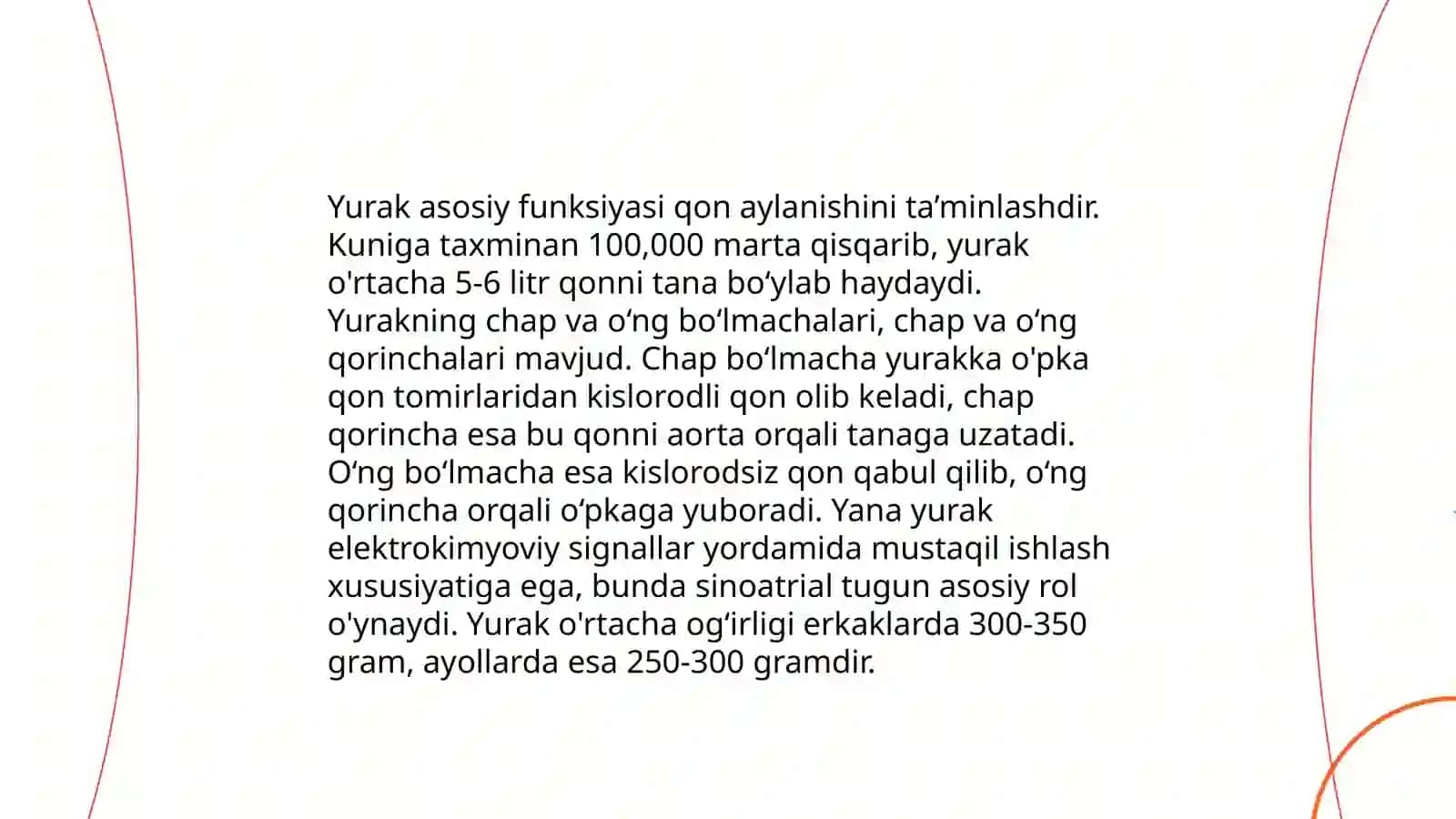 Yurak anatomiyasi 4