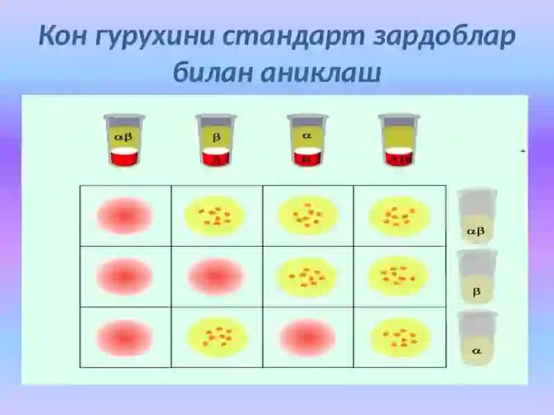 Трансфузиология масалалари 4
