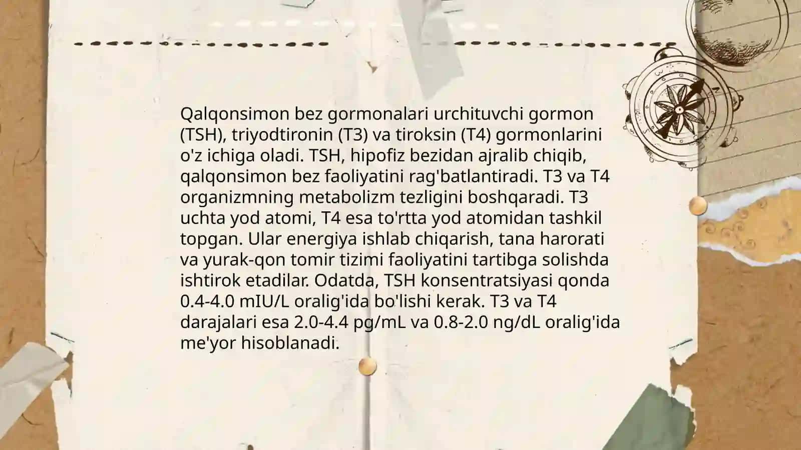 Qalqonsimon bez anatomiyasi 4