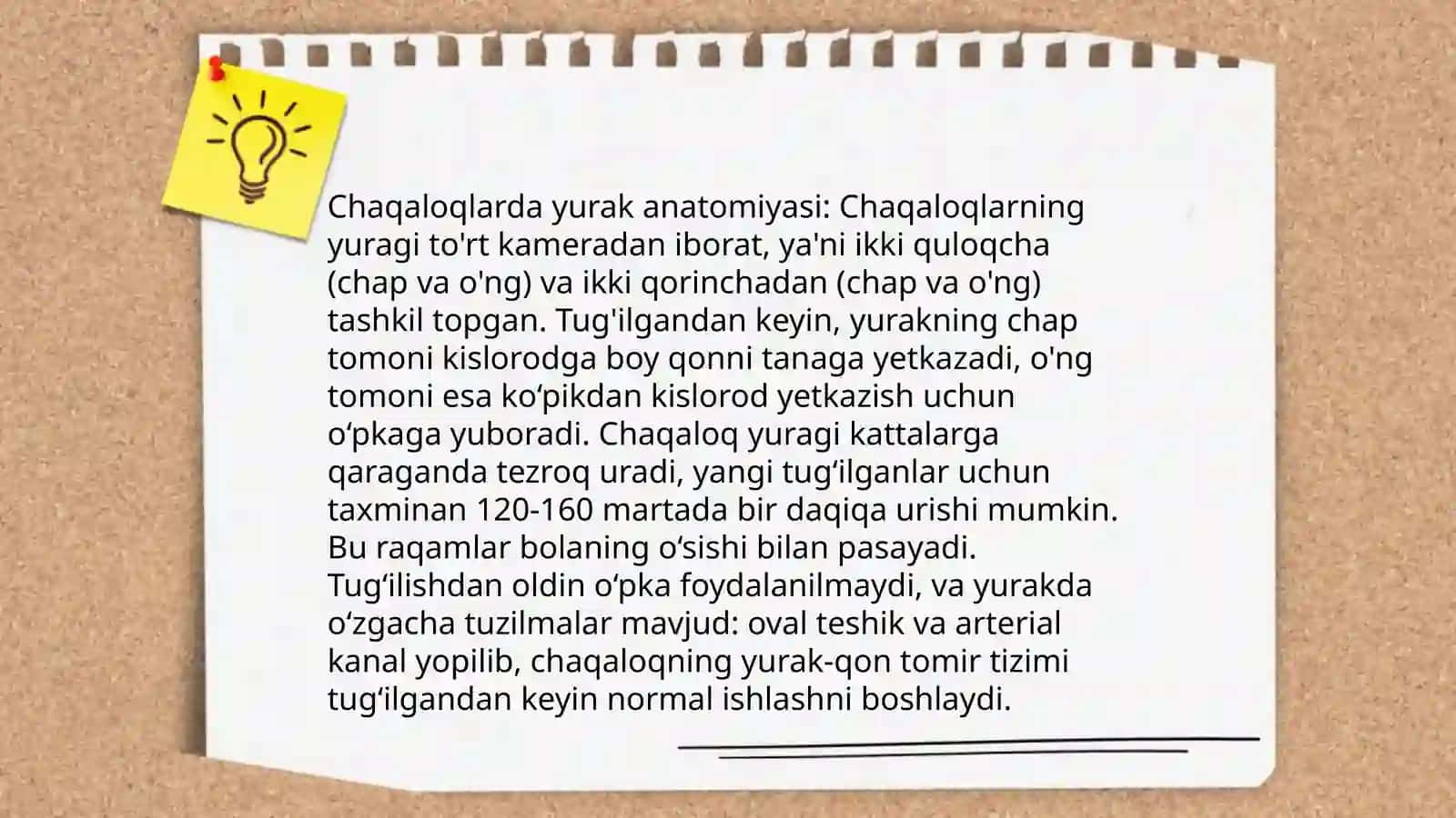 Chaqaloqlarda qon aylanish sistemasi 4