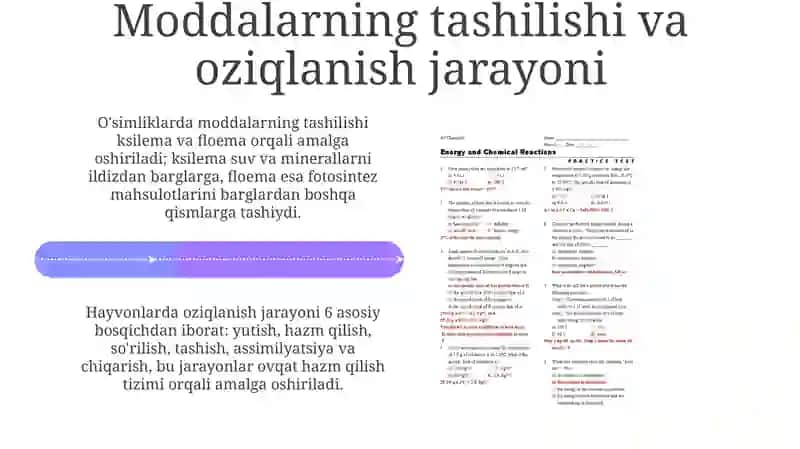 Modda va energiya almashinuvi 4