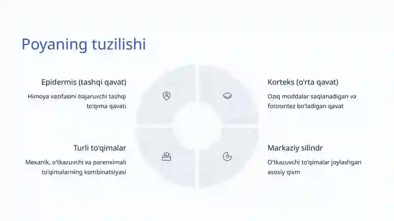 Poya va Uning Turlari: O'simliklarning Asosiy Tuzilishi 4