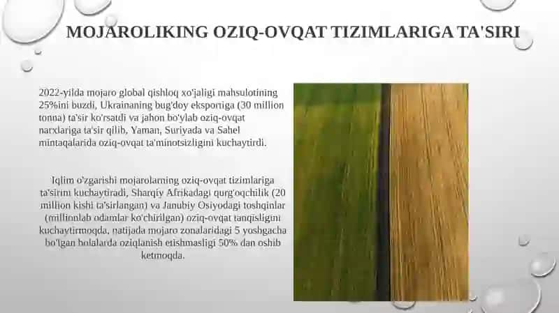 Jahon qishloq xo'jaligi 4