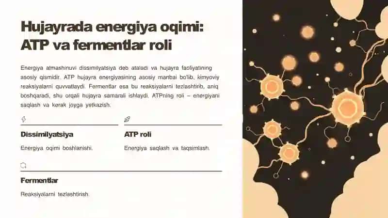 Hujayrada Metabolizm va Energia Oqimi 4