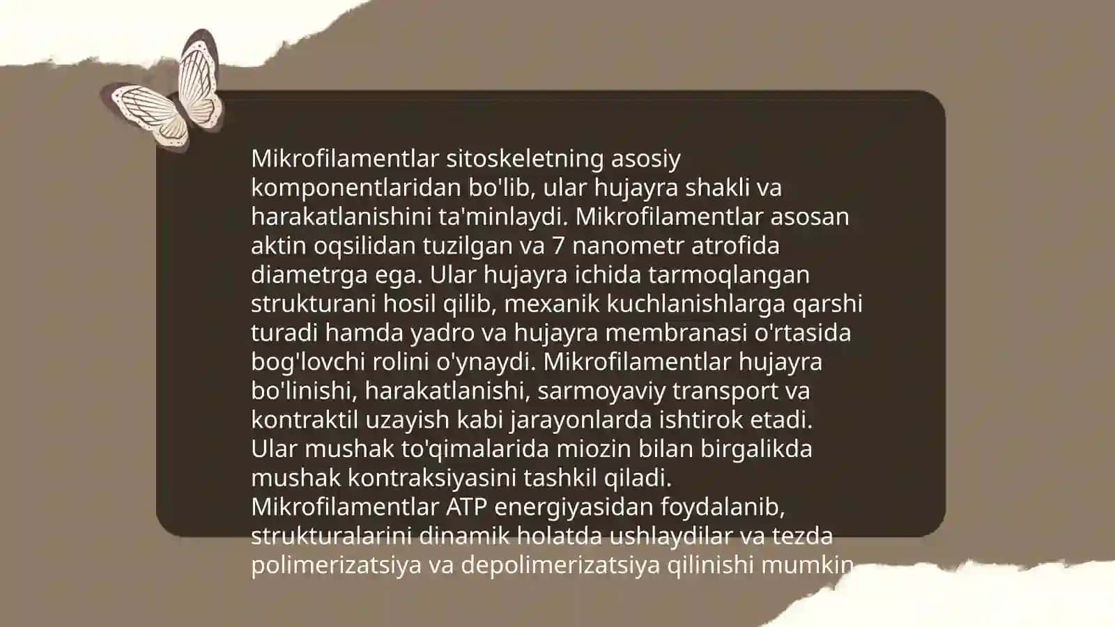 Sitoskelet 4