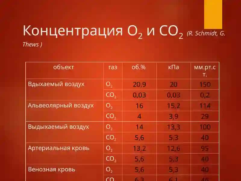 Патофизиология ситемы внешнего дыхания 4