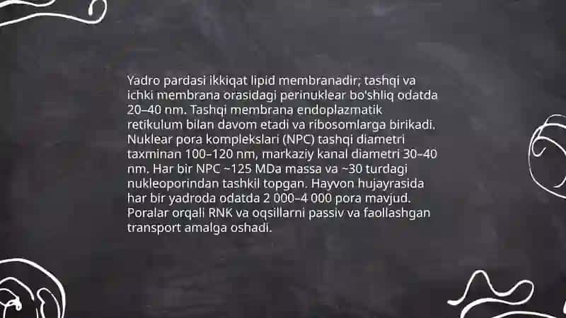 Yadro va yadrocha 4