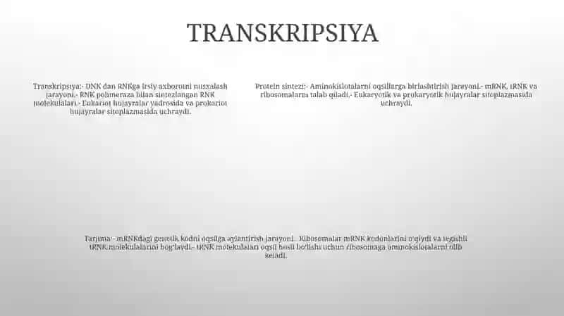 Oqsil Sintezi 4