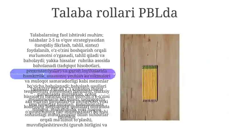 Muvaffaqiyatli PBL qo'llanmalar misollari 4