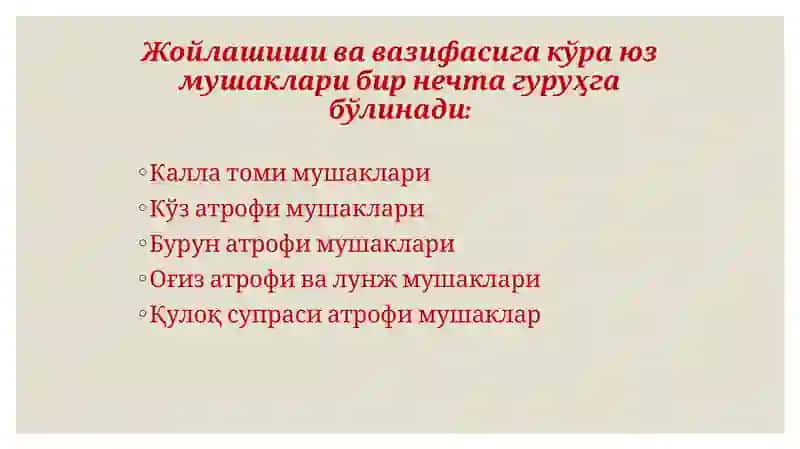 Бош мушаклари (Musculicapitis) 4