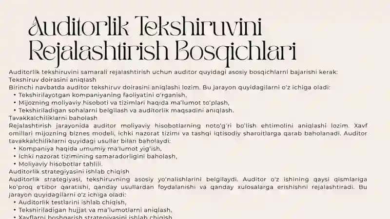 AUDITORLIK TEKSHIRUVINI REJALASHTIRISH 4