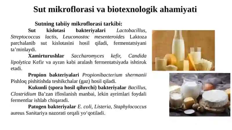 Sut mahsulotlari biotexnologiyasi 4