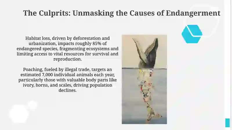 Endangered animals 4