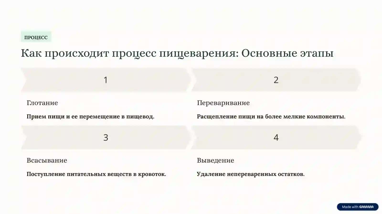 Пищеварительная система человека: Ваш путь к здоровью 4