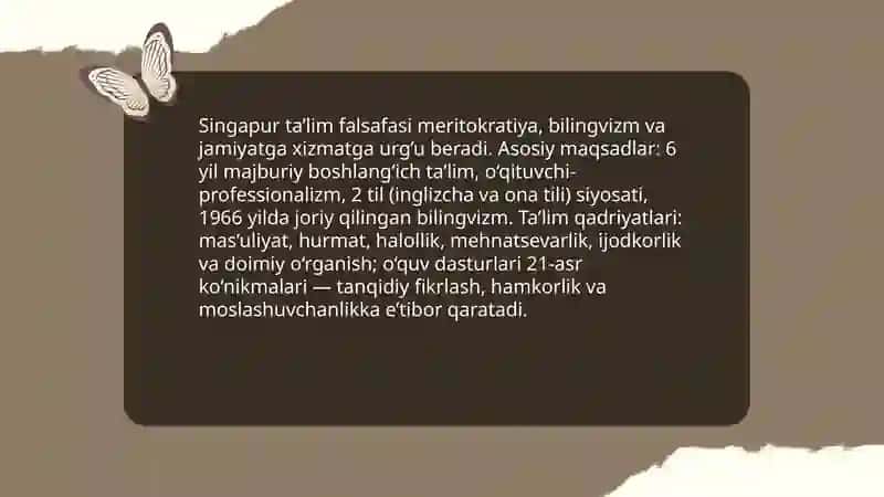 Singapur ta'lim tizimi 4