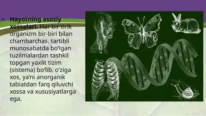 Tiriklik (Hayotning asosiy shakllari) 4