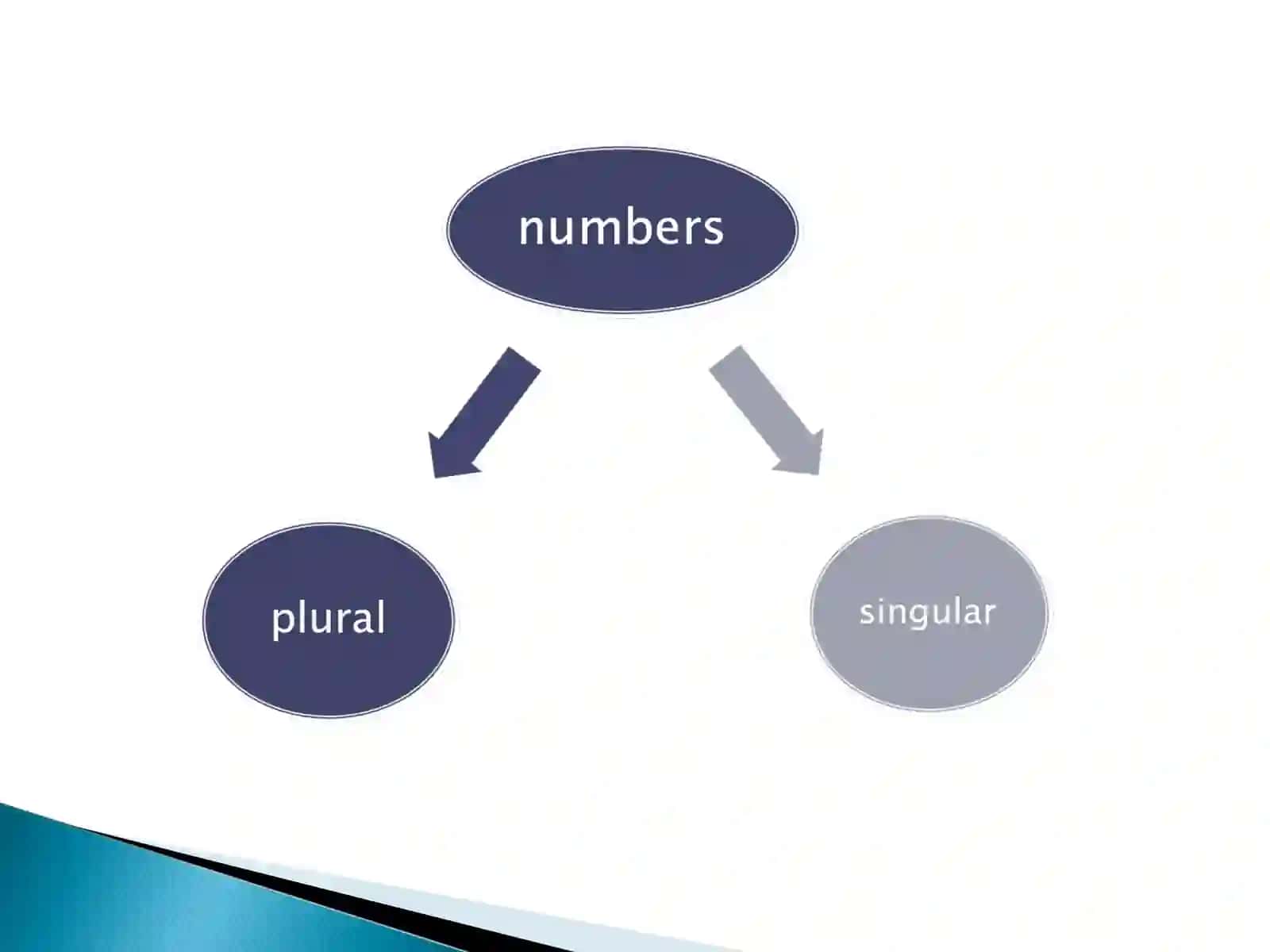 Grammatical Structure. Morphology. The Substantive 4