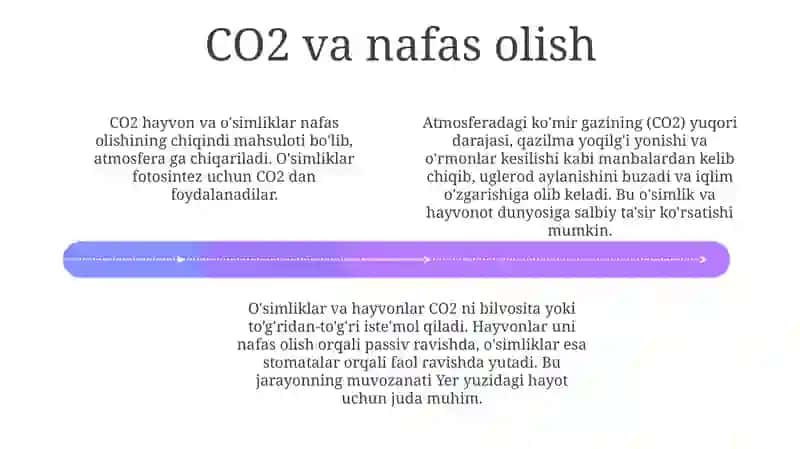 Karbonat angidrid gazi olish 4