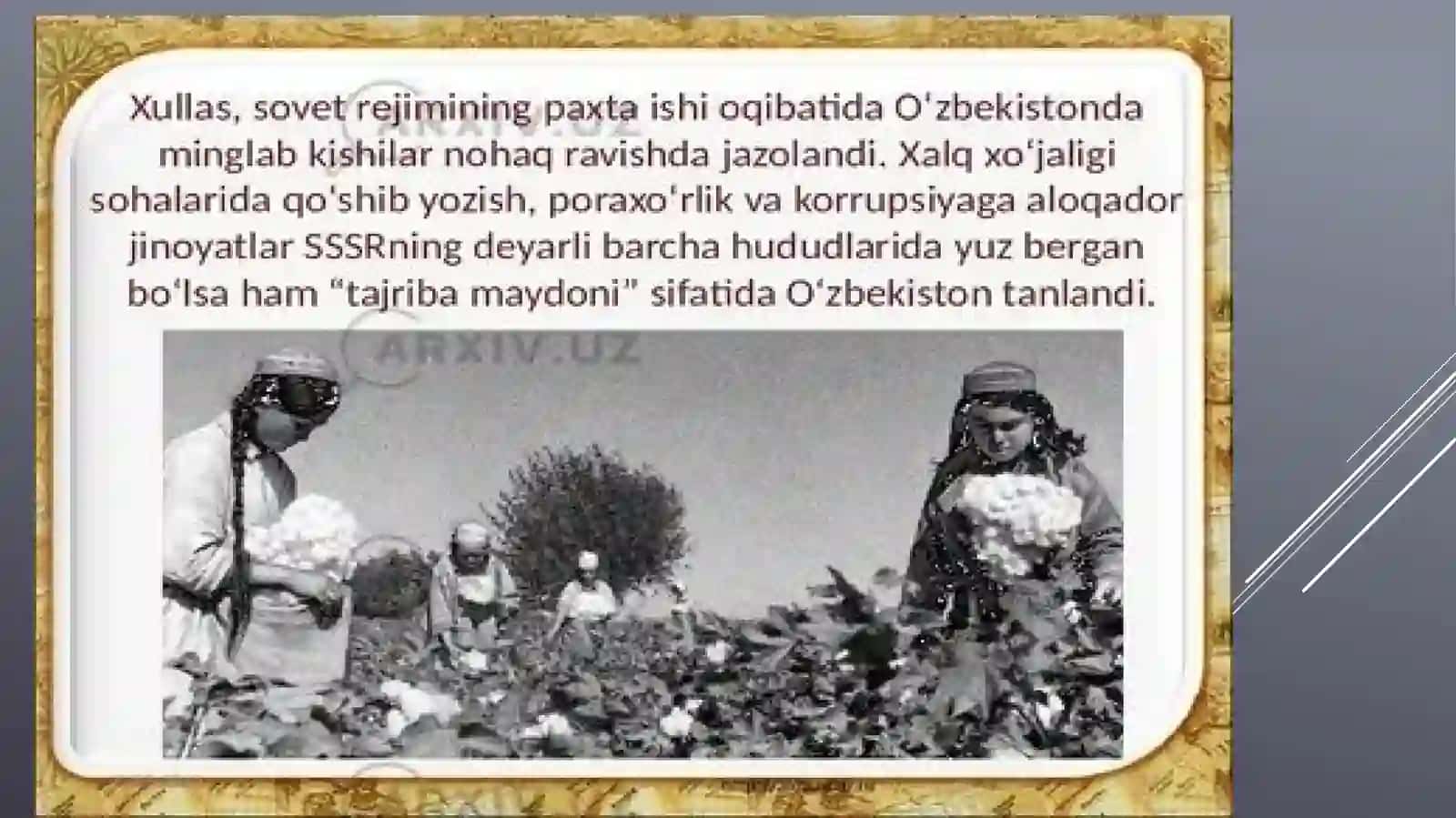 PAXTA ISHI VA OZBEK ISHI 4