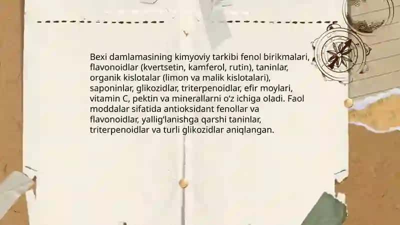 Bexi daraxtining shifobaxsh damlamalari 4