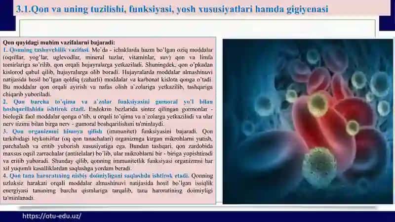 Qon, nafas olish, ovqat hazm a’zolari 4