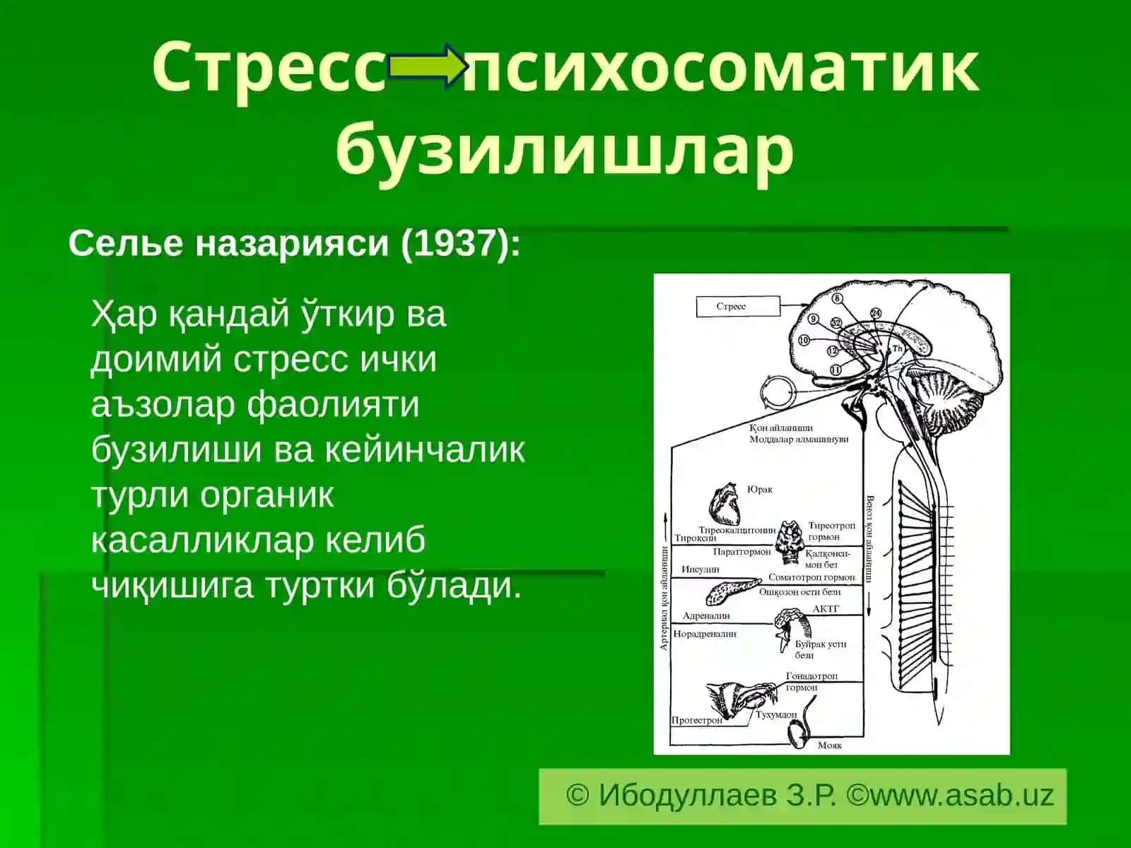 ПСИХОСОМАТИК СИНДРОМЛАР(давоми) 4