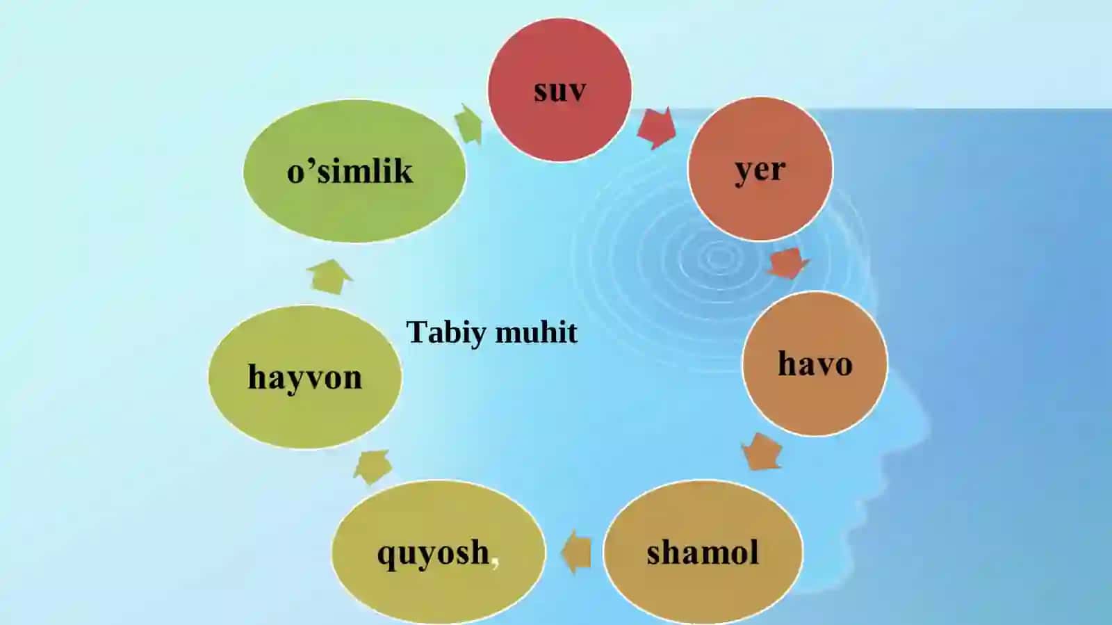 Yashash muhiti 4