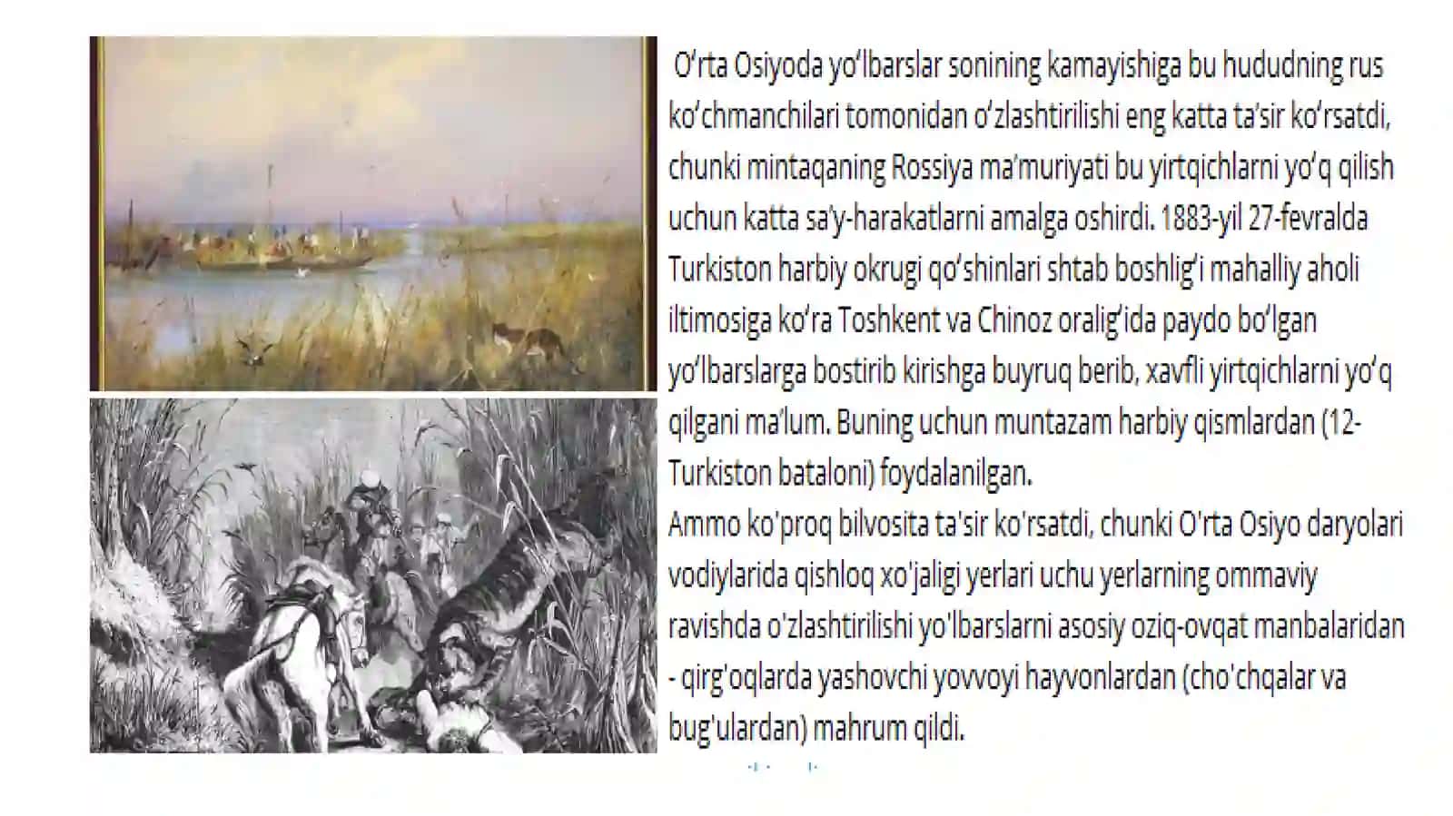 O‘rta Osiyoning hayvonot dunyosi 4