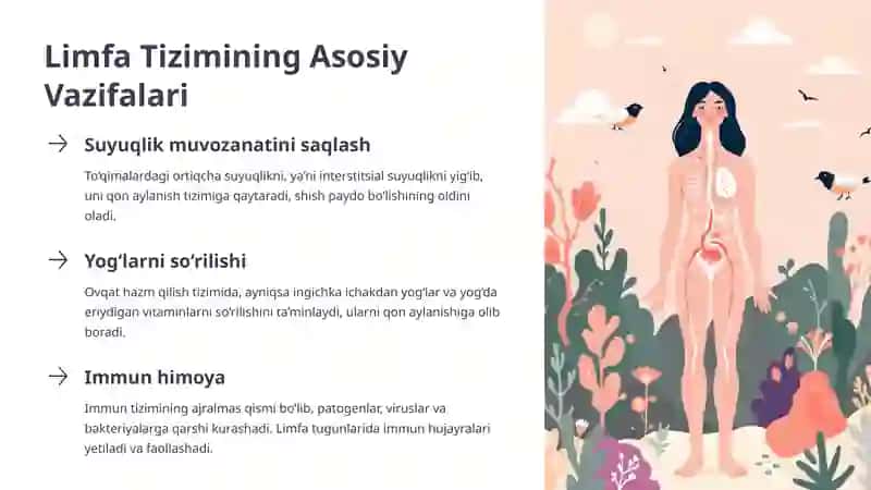 Limfa tizimi fiziologiyasi 4