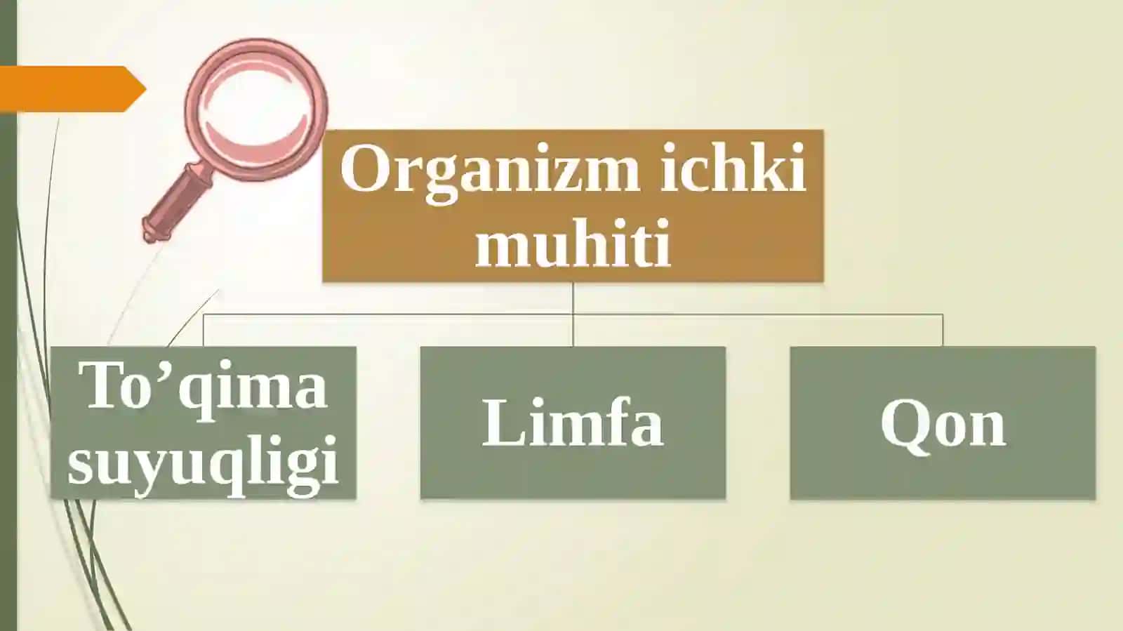 Qon vaunigining vazifasi 4